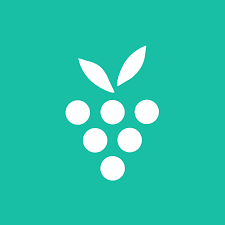 Berrycast logo