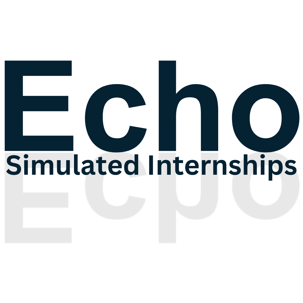 Echo Simulated Internships logo