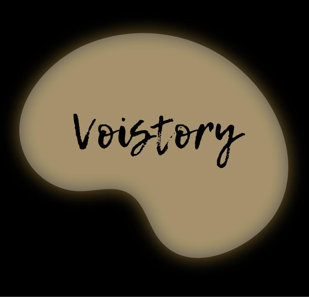 Voistory logo